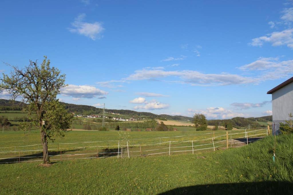 AnNo - Die Wohlfühl - Idylle in Grünbach_Kirchdorf Kirchdorf im Wald Exterior foto