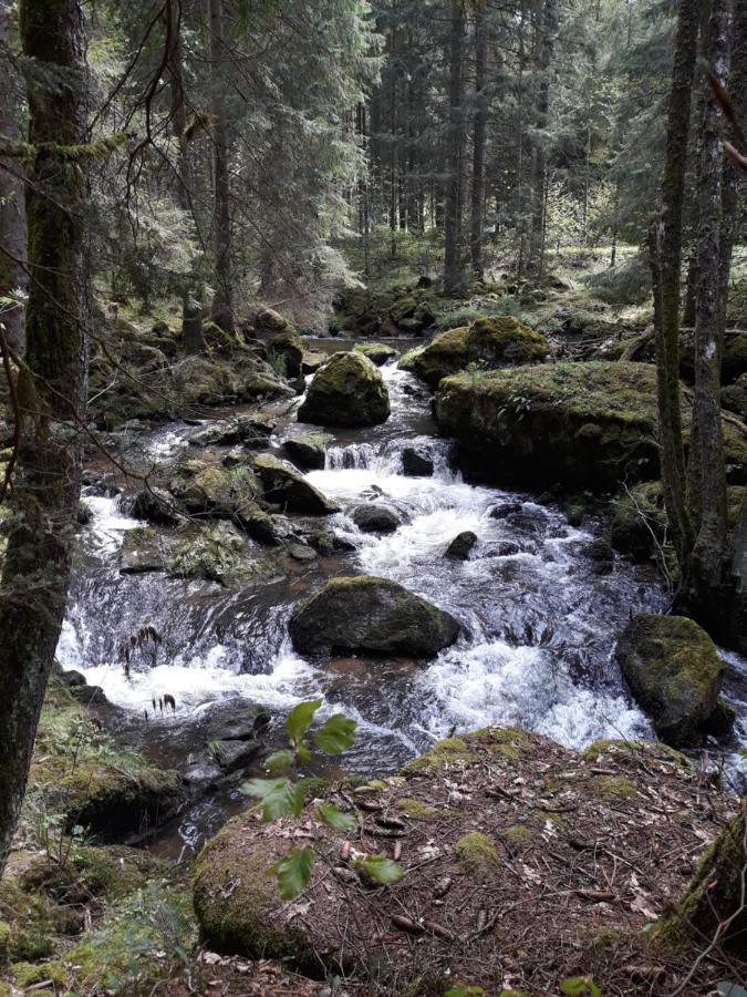 AnNo - Die Wohlfühl - Idylle in Grünbach_Kirchdorf Kirchdorf im Wald Exterior foto