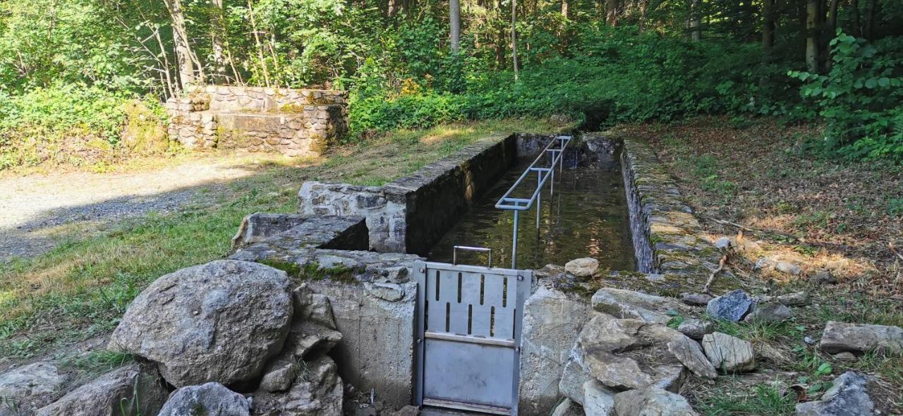 AnNo - Die Wohlfühl - Idylle in Grünbach_Kirchdorf Kirchdorf im Wald Exterior foto